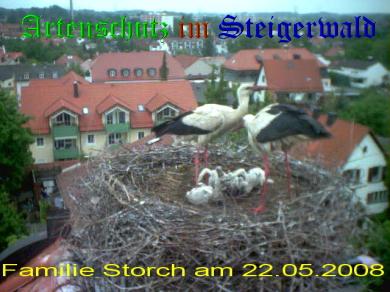 Copyright AiS / LBV EBE Richard Straub Bild zum Eintrag (31178-160)