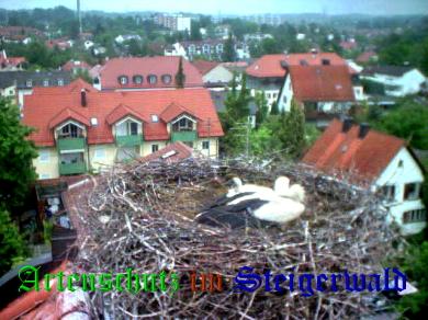 Copyright AiS / LBV EBE Richard Straub Bild zum Eintrag (31180-160)