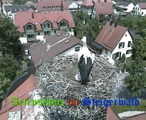Copyright AiS / LBV EBE Richard Straub Bild zum Eintrag (31184-160)