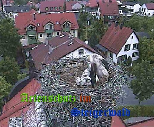 Copyright AiS / LBV EBE Richard Straub Bild zum Eintrag (31185-160)