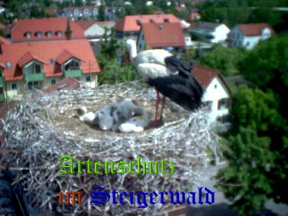 Copyright AiS / LBV EBE Richard Straub Bild zum Eintrag (31186-160)