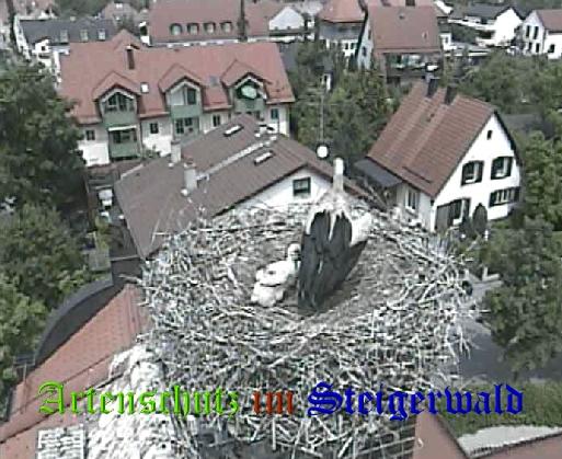 Copyright AiS / LBV EBE Richard Straub Bild zum Eintrag (31188-160)
