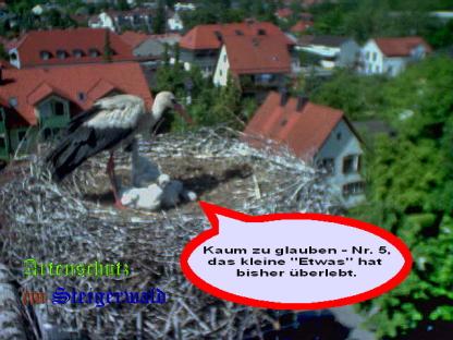 Copyright AiS / LBV EBE Richard Straub Bild zum Eintrag (31189-160)