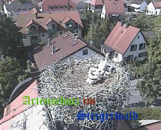 Copyright AiS / LBV EBE Richard Straub Bild zum Eintrag (31191-160)