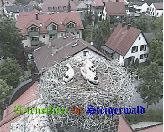 Copyright AiS / LBV EBE Richard Straub Bild zum Eintrag (31192-160)