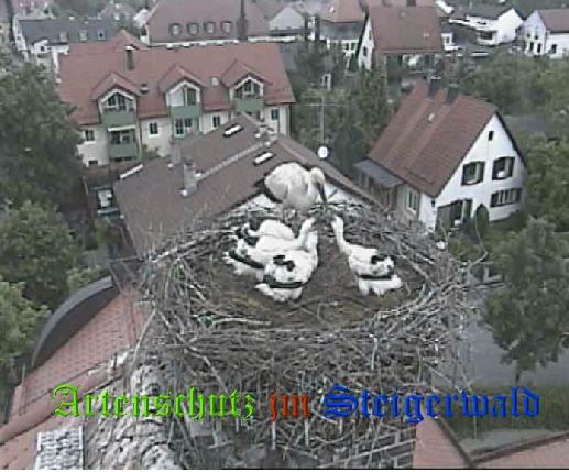 Copyright AiS / LBV EBE Richard Straub Bild zum Eintrag (31193-160)