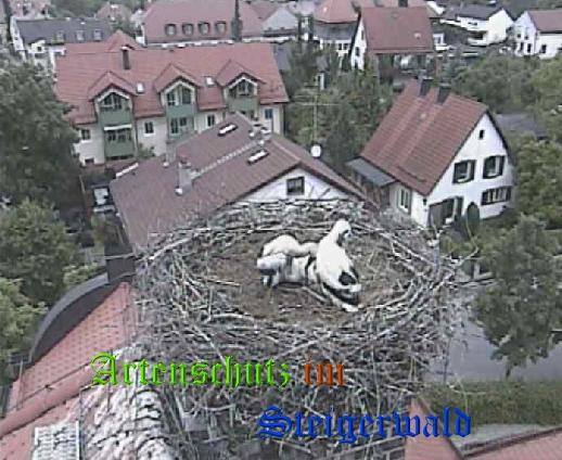 Copyright AiS / LBV EBE Richard Straub Bild zum Eintrag (31194-160)