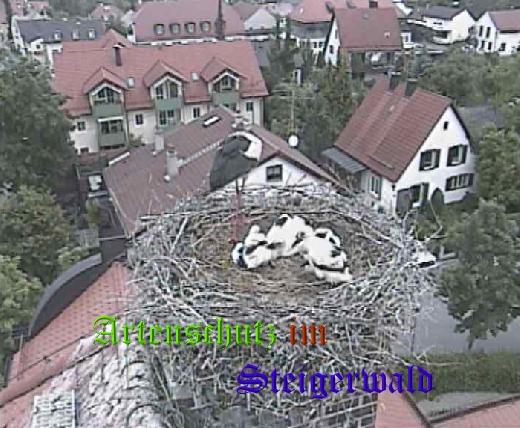 Copyright AiS / LBV EBE Richard Straub Bild zum Eintrag (31195-160)