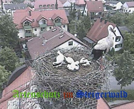Copyright AiS / LBV EBE Richard Straub Bild zum Eintrag (31202-160)