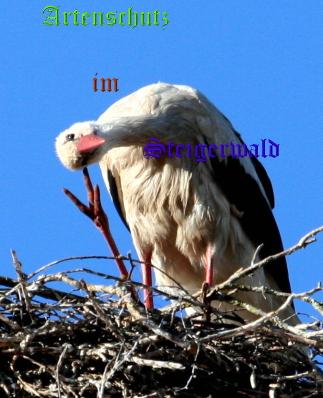 Copyright AiS / LBV EBE Richard Straub Bild zum Eintrag (31204-160)
