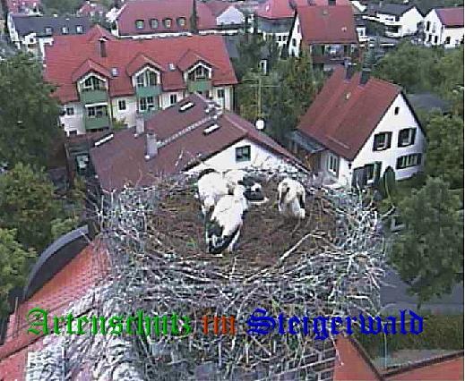 Copyright AiS / LBV EBE Richard Straub Bild zum Eintrag (31208-160)