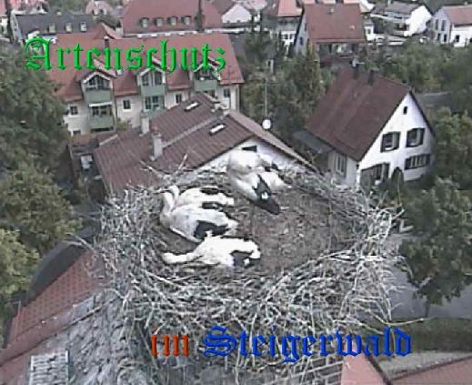 Copyright AiS / LBV EBE Richard Straub Bild zum Eintrag (31209-160)
