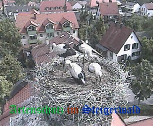 Copyright AiS / LBV EBE Richard Straub Bild zum Eintrag (31211-160)