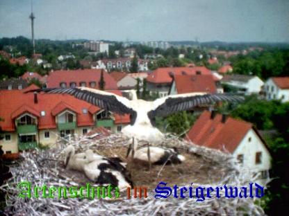 Copyright AiS / LBV EBE Richard Straub Bild zum Eintrag (31213-160)