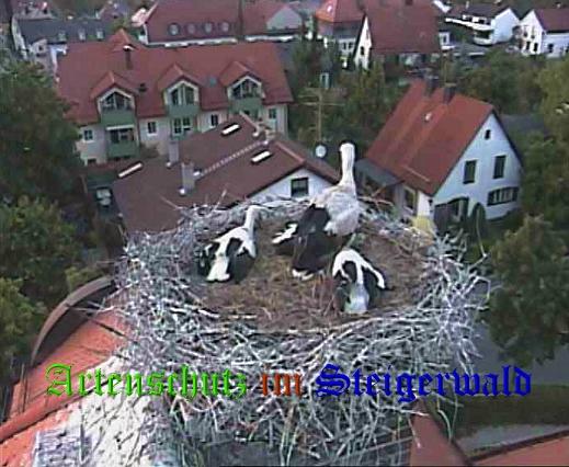 Copyright AiS / LBV EBE Richard Straub Bild zum Eintrag (31214-160)