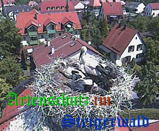 Copyright AiS / LBV EBE Richard Straub Bild zum Eintrag (31215-160)