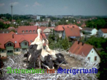 Copyright AiS / LBV EBE Richard Straub Bild zum Eintrag (31220-160)