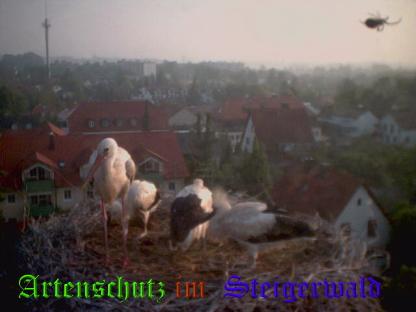 Copyright AiS / LBV EBE Richard Straub Bild zum Eintrag (31221-160)