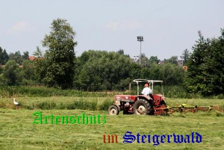 Copyright AiS / LBV EBE Richard Straub Bild zum Eintrag (31224-160)