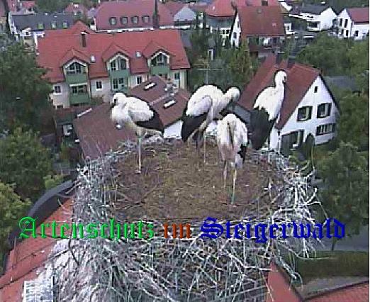 Copyright AiS / LBV EBE Richard Straub Bild zum Eintrag (31225-160)