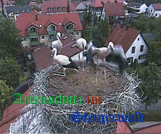 Copyright AiS / LBV EBE Richard Straub Bild zum Eintrag (31226-160)