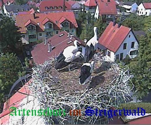Copyright AiS / LBV EBE Richard Straub Bild zum Eintrag (31227-160)