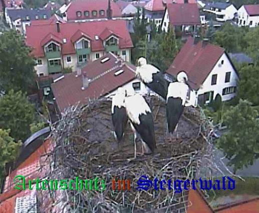 Copyright AiS / Zehendner / Weidner Bild zum Eintrag (31228-160)