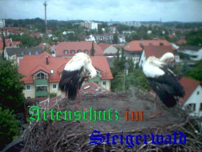 Copyright AiS / Zehendner / Weidner Bild zum Eintrag (31229-160)