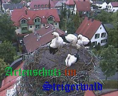 Copyright AiS / Zehendner / Weidner Bild zum Eintrag (31231-160)