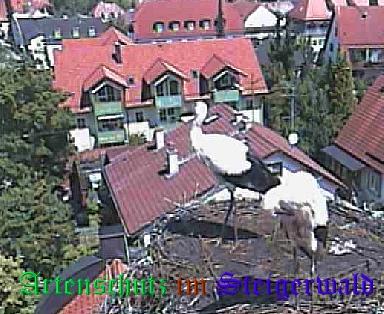 Copyright AiS / LBV EBE Richard Straub Bild zum Eintrag (31232-160)