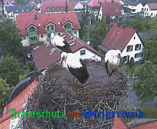 Copyright AiS / LBV EBE Richard Straub Bild zum Eintrag (31233-160)