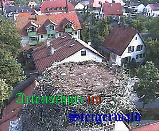 Copyright AiS / LBV EBE Richard Straub Bild zum Eintrag (31239-160)