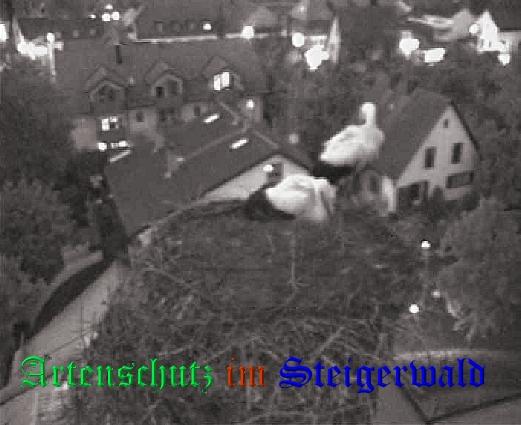 Copyright AiS / LBV EBE Richard Straub Bild zum Eintrag (31240-160)