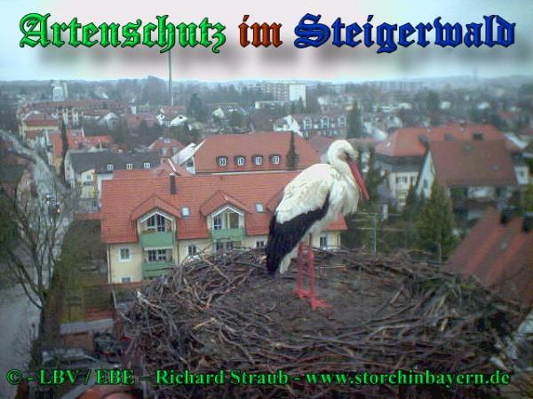Copyright AiS / 2009 LBV EBE Richard Straub Bild zum Eintrag (31255-160)