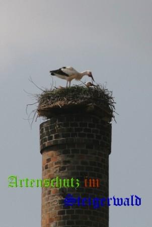 Copyright AiS / schmitt Bild zum Eintrag (31381-160)