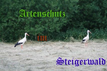 Copyright AiS / Schmitt Bild zum Eintrag (31387-160)