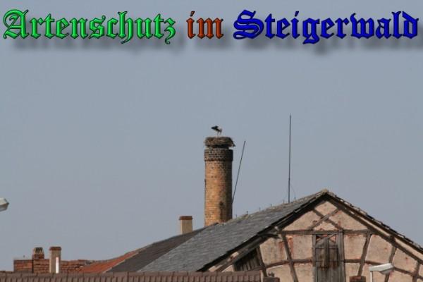Copyright AiS / 2009 Brigitte Schmitt Bild zum Eintrag (31397-160)