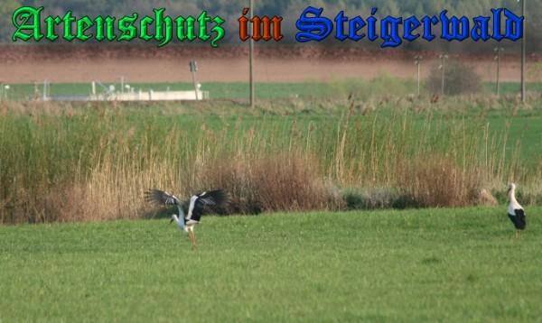 Copyright AiS / 2009 Brigitte Schmitt Bild zum Eintrag (31405-160)