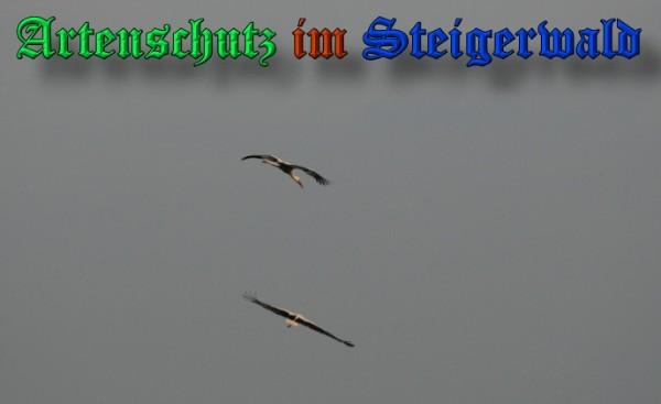 Copyright AiS / 2009 Brigitte Schmitt Bild zum Eintrag (31406-160)