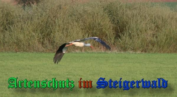 Copyright AiS / 2009 Brigitte Schmitt Bild zum Eintrag (31407-160)