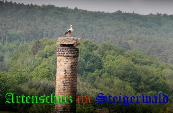 Copyright AiS / 2009 Brigitte Schmitt Bild zum Eintrag (31409-160)