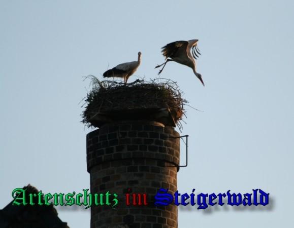 Copyright AiS / 2009 Brigitte Schmitt Bild zum Eintrag (31412-160)