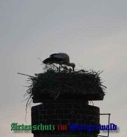 Copyright AiS / 2009 Brigitte Schmitt Bild zum Eintrag (31414-160)