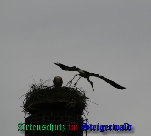 Copyright AiS / 2009 Brigitte Schmitt Bild zum Eintrag (31415-160)