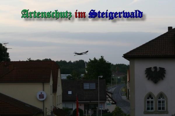 Copyright AiS / 2009 Brigitte Schmitt Bild zum Eintrag (31416-160)
