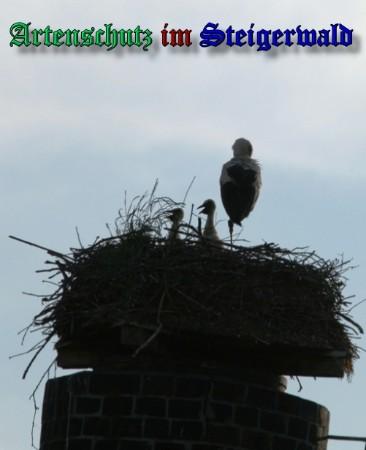 Copyright AiS / 2009 Brigitte Schmitt Bild zum Eintrag (31417-160)