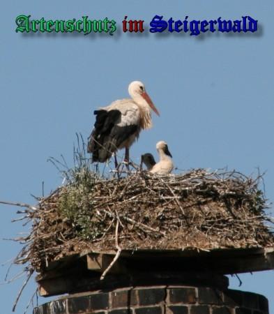 Copyright AiS / 2009 Brigitte Schmitt Bild zum Eintrag (31418-160)