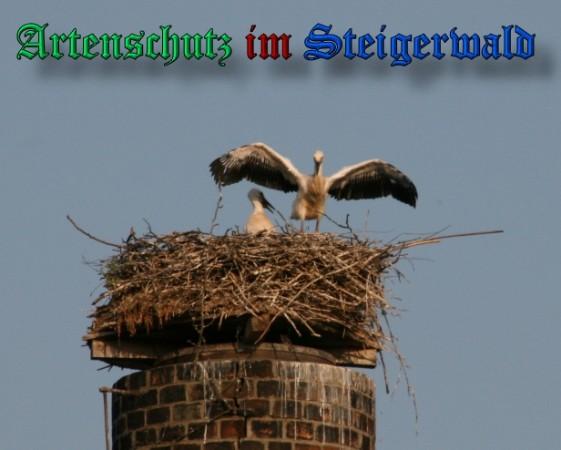 Copyright AiS / 2009 Brigitte Schmitt Bild zum Eintrag (31420-160)