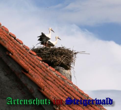 Copyright AiS / 2009 Brigitte Schmitt Bild zum Eintrag (31424-160)