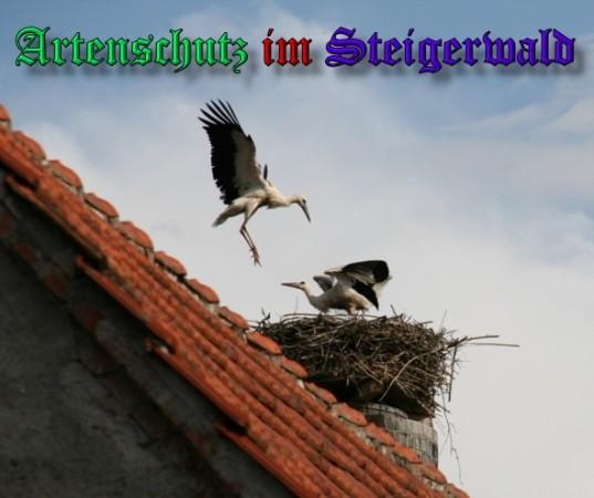Copyright AiS / 2009 Brigitte Schmitt Bild zum Eintrag (31425-160)